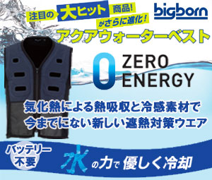 ビッグボーン